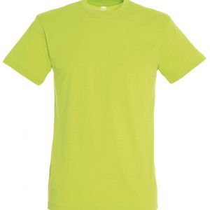 t-shirt-verde-maca